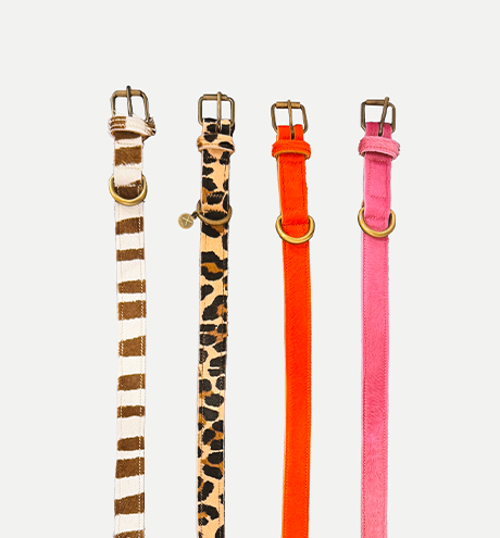 Collars
