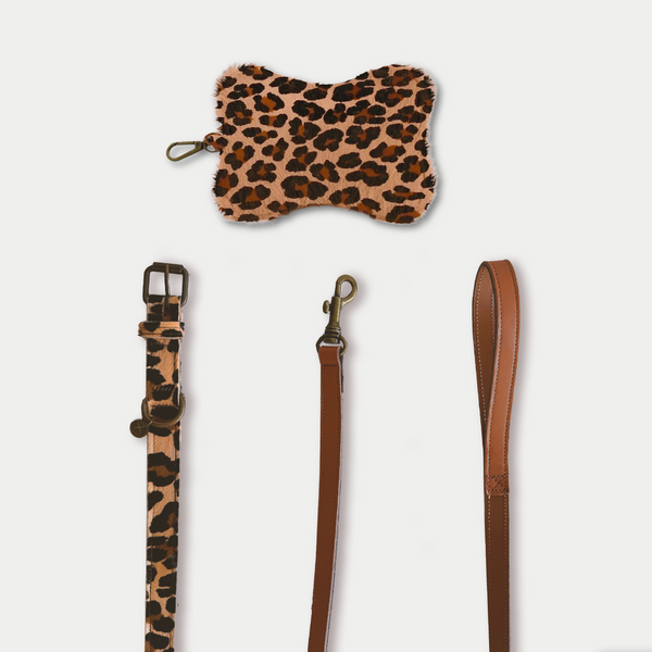 Set Cane Personalizzabile