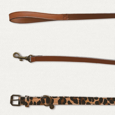 Collare + Guinzaglio Klarà Personalizzati